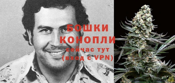гидра Балахна