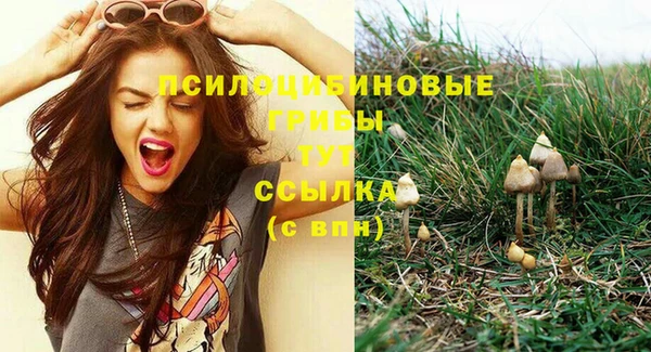 дживик Россошь