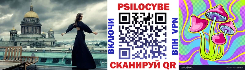 Псилоцибиновые грибы Cubensis  где можно купить   Чекалин 